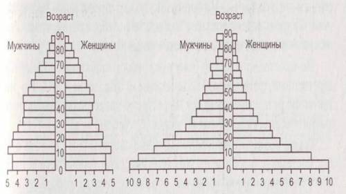 Используя возрастно-половые пирамиды, сделать вывод о различии в доле молодых и старших возрастов ст
