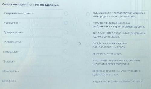 Сопоставь термины и их определения. Свертывание крови -опоглощение и переваривание микробови инородн