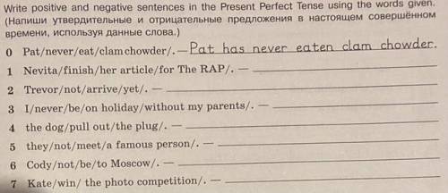 Write positive and negative sentences in the Present Perfect Tense using the words given. (Напиши ут