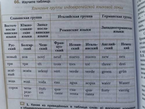 Какие из приведённых в таблице слов: а) восходят корнями к общеиндоевропейскому языку-основе; б) поя