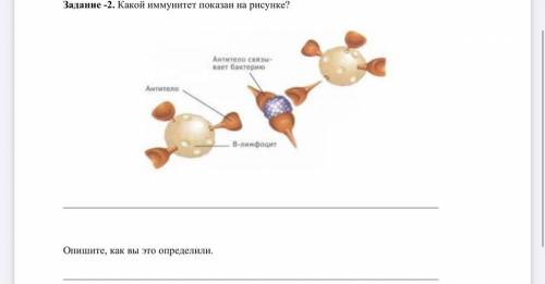 ответьте на вопросы по картинке