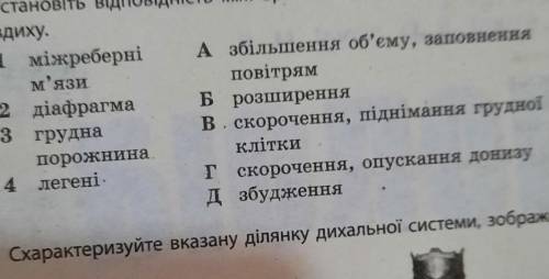 Цстановіть відповідність між оргагами дихання ьа їхнім станом під час вдиху​