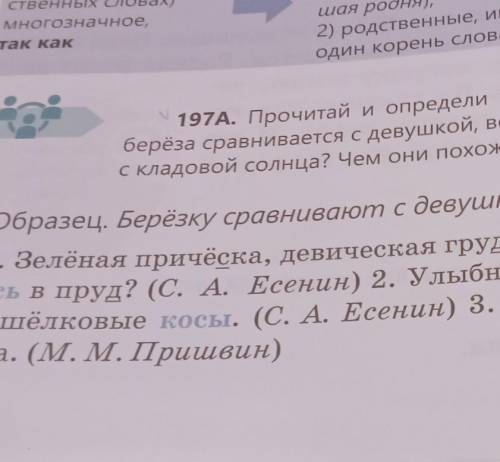 прочитай определи значение выделенных слов Почему берёза сравнивается с дедушкой Берёзка сами природ