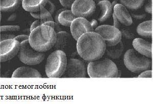 Выберите ТРИ верных ответа из шести и запишите буквы , под которыми они указаны. Какие особенности х