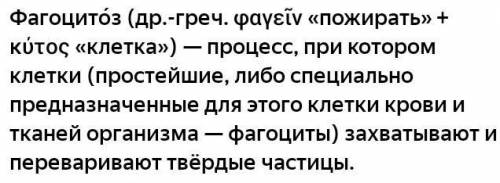 Как связаны понятия фагоцитоз и иммунитет​