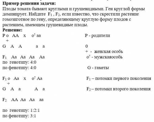 Решите 4 задачи по биологии, 2 на моногибридное скрещивание и 2 на дигибридное скрещивание. (Обязате