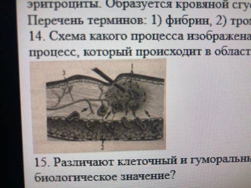 10. Между позициями первого и второго столбцов приведенной ниже таблицы имеется определенная взаимос