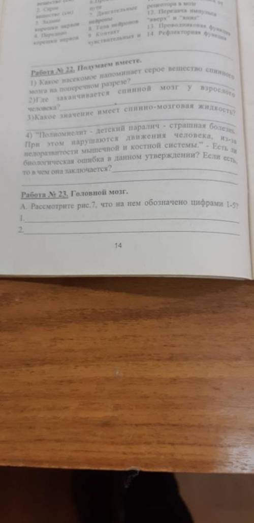 Надо сделать Работа 23,2427,28