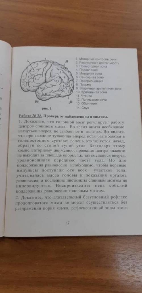 Надо сделать Работа 23,2427,28