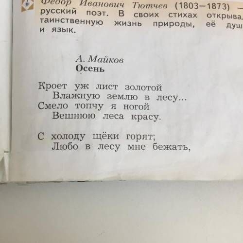 Чем описывает поэт живой уголок природы?