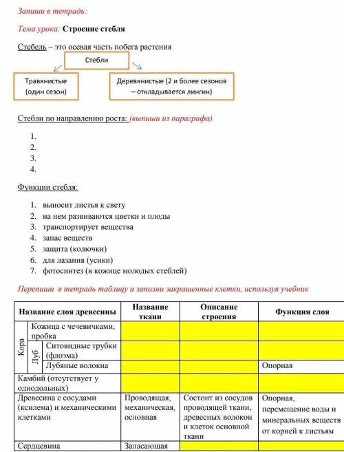 Биология 6 класс параграф 9 строения стебля таблица вот фото​