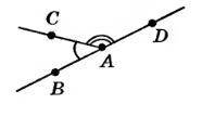 Выбери верные обозначения углов, указанных на чертеже. 1. ∢DAC ∢BAK ∢BAC ∢CDA