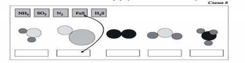 ￼￼￼сопоставьте данные химические формулы с моделями молекул