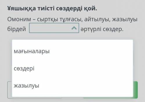 Ұяшыққа тиісті сөздерді қой. Омоним – сыртқы бірдей мағыналары сөздері жазылуы тұлғасы, айтылуы, жаз