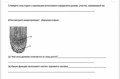 Решите лабораторную работу.​