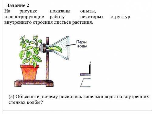 Задание 2 На рисунке показаны опыты, иллюстрирующие работу некоторых структур внутреннего строения л