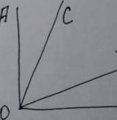 из вершины прямого угла АОВ , проведены два луча ОС и ОДИН так, что АОД=77°, ВОС=66°.Вычислите велич