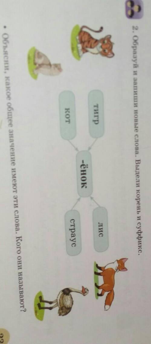 2. Образуй и запиши новые слова. Выдели корень и суффикс. тигрлис-ёноккотстраусеОбъясни, какое общее