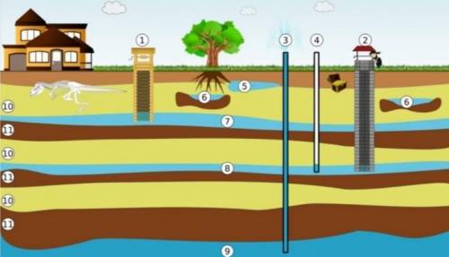 Под каким номером на данном рисунке показана водопроницаемые породы? 5 7 10 11