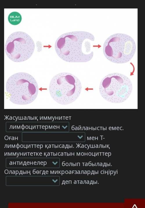 Комектесиндерш отнем керек