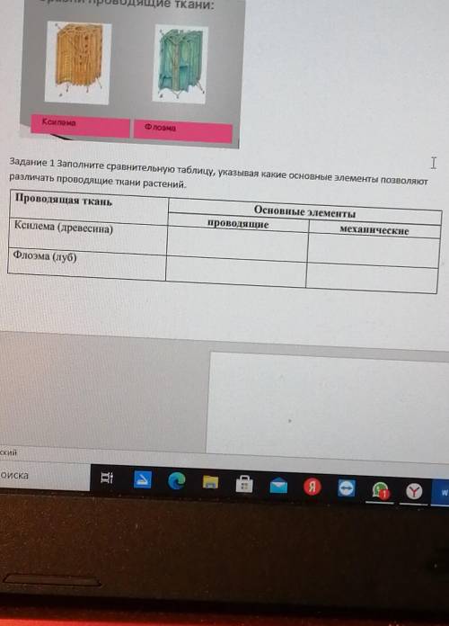 заполните сравнительную таблицу указывая Какие основные элементы позволяют различать проводящие ткан