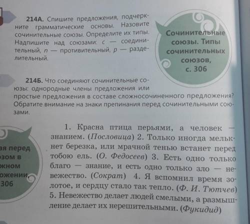 214A. Спишите предложения, подчерк- ните грамматические ОСНОВЫ. Назовитесочинительные союзы. Определ