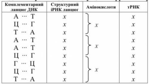 За даним фрагментом комплементарного ланцюга ДНК, що наведений в таблиці, визначте структурний ланцю