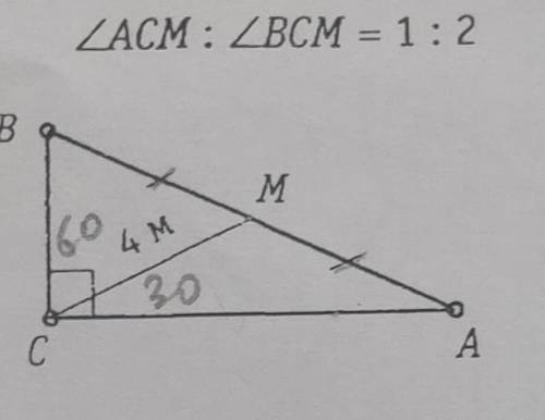 Найдите площадь треугольника. угол АСМ: углу ВСМ=1 : 2​