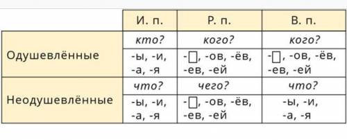 Допиши окончания одушевленных существительных в И.п. и В.п.​
