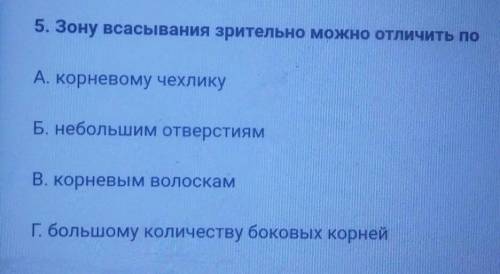 Зону всасывания зрительно можно отличить по A. корневому чехликуБ. небольшим отверстиямB. корневым в