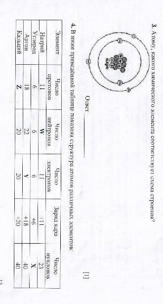 ответить на вопросы и заполнить таблицу​