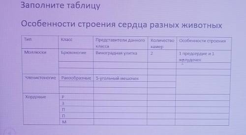 ПО БИОЛОГИИ 7 КЛАСС. Заполни таблицу. Особенности строения сердца разных животных. Таблица на фото.