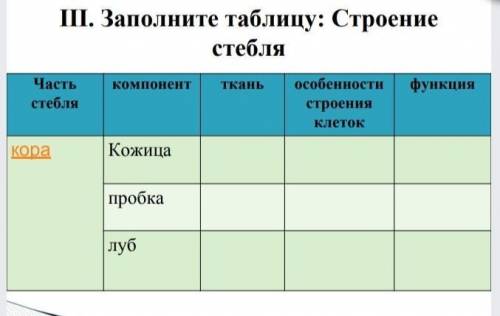 Заполните таблицу строение стебля: