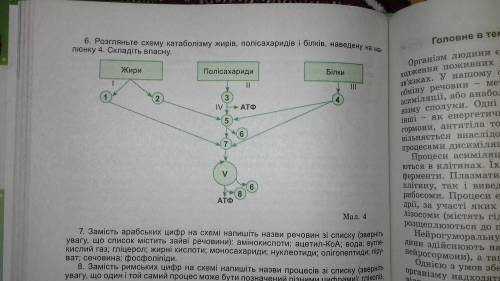 До ть! ів Біологія 10 клас