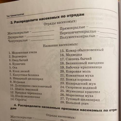 вот, если кому нужно письменно): Распределите насекомых по отрядам: Отряды: насекомых; Жесткокрылые-