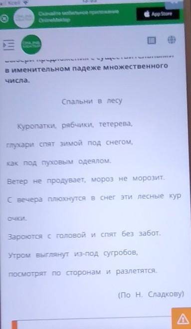 Выбери предложения с существительными в именительном падеже множественного числа. Спальни в лесуКуро