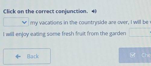 City or countryside? Click on the correct conjugation. если кто-то проверял пишите а кто просто так