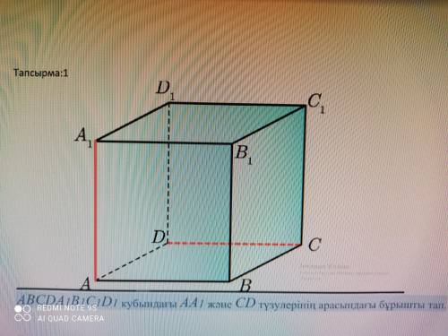 Найдите угол между прямыми AA1 и CD в кубе ABCDA1B1C1D1.