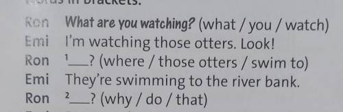 3 Write questions for the answers using thewords in brackets.otchl​