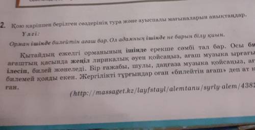 Вот которые не поместились слова осы биікырғағынаағаш қойған