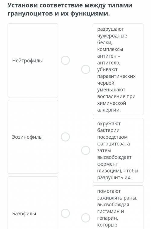 Типы лейкоцитов и их функции. Действие Т- и В-лимфоцитов Установи соответствие между типами гранулоц