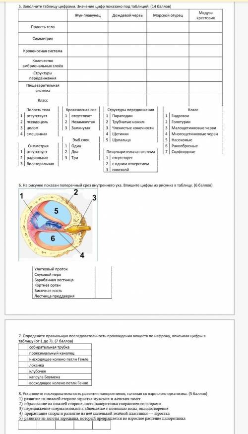 5. Заполните таблицу цифрами. Значение цифр показано под таблицей. ( ) Жук-плавунец Дождевой червь М