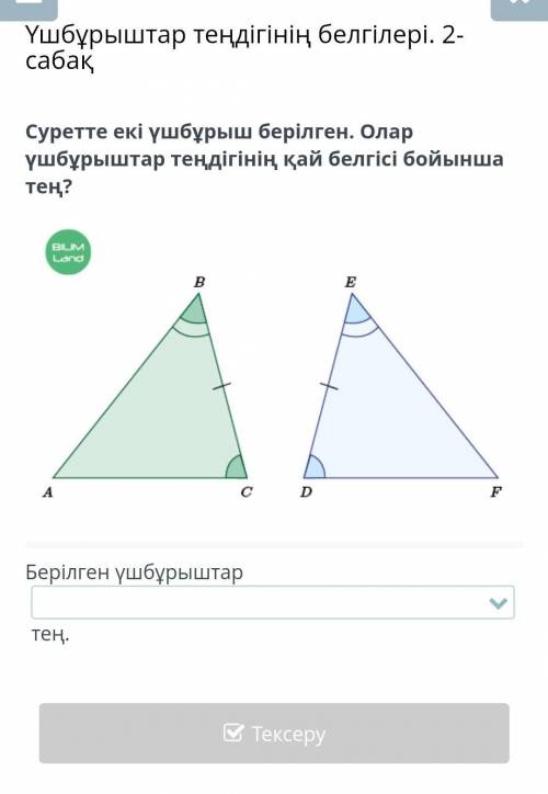 Көметесіңдерші геометрия тініш ​