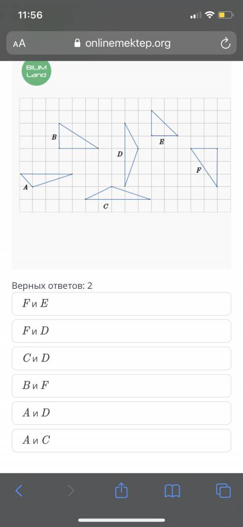 Какие треугольники равны? Два верных ответа