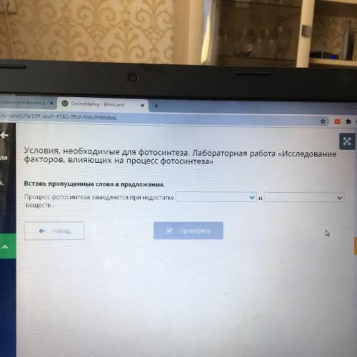 Оров, с Вставь пропущенные слова в предложение. Процесс фотосинтеза замедляется при недостатке вещес