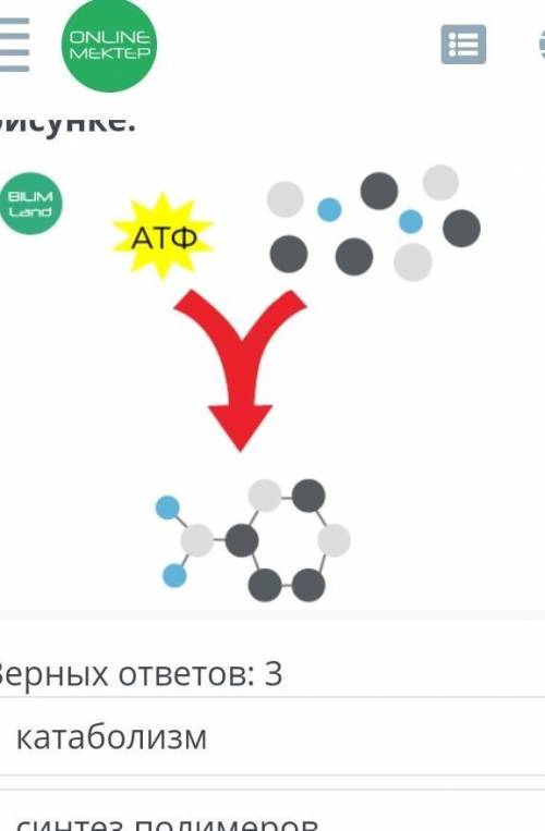 Online mektep биология Определи названия, характеризующие процесс на рисунке.​