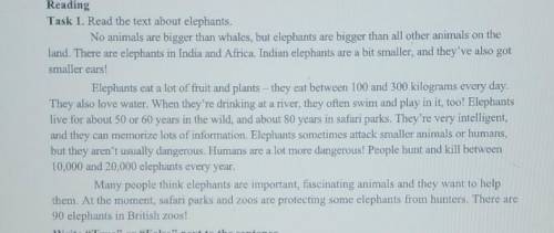 Write True or False” next to the sentence. 1. African elephants are bigger than Indian elephants.