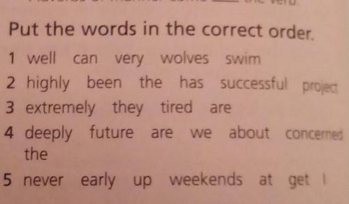 Put the words in the correct order 1)well can very... wolves... Swim 2)highly been... the.. has... s