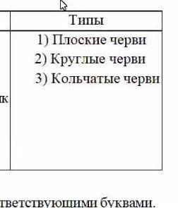 Установите соответствие между типами животных и их представителями