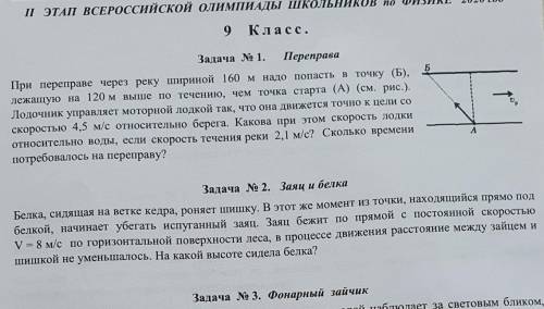 белка сидящая на ветке кедра роняет шишку в этот же момент из точки находящейся прямо под белкой нач